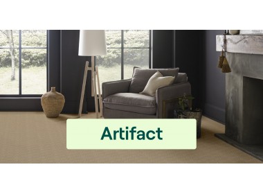 Artifact
